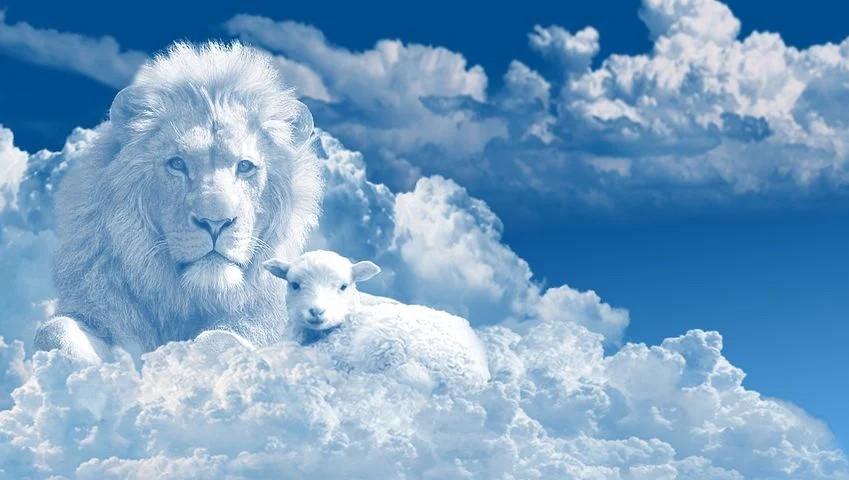 Bilden visar ett lejon och ett lamm på en blå himmel som ser ut som de är skulpterade av moln.