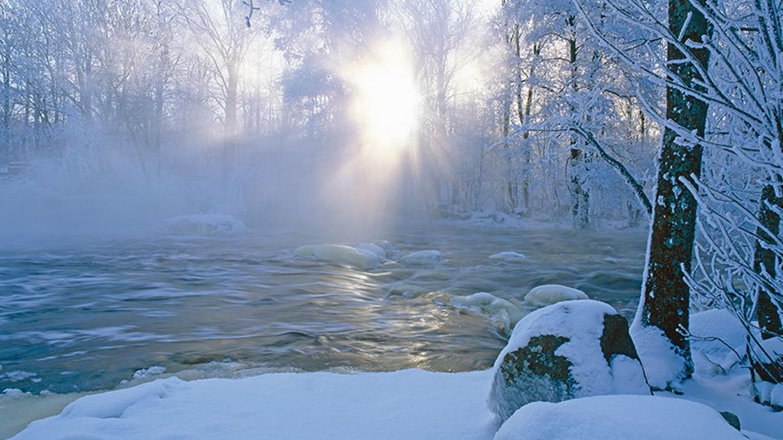 En snötäckt skog vid en frusen sjö. Genom några trädkronor lyser solen.
