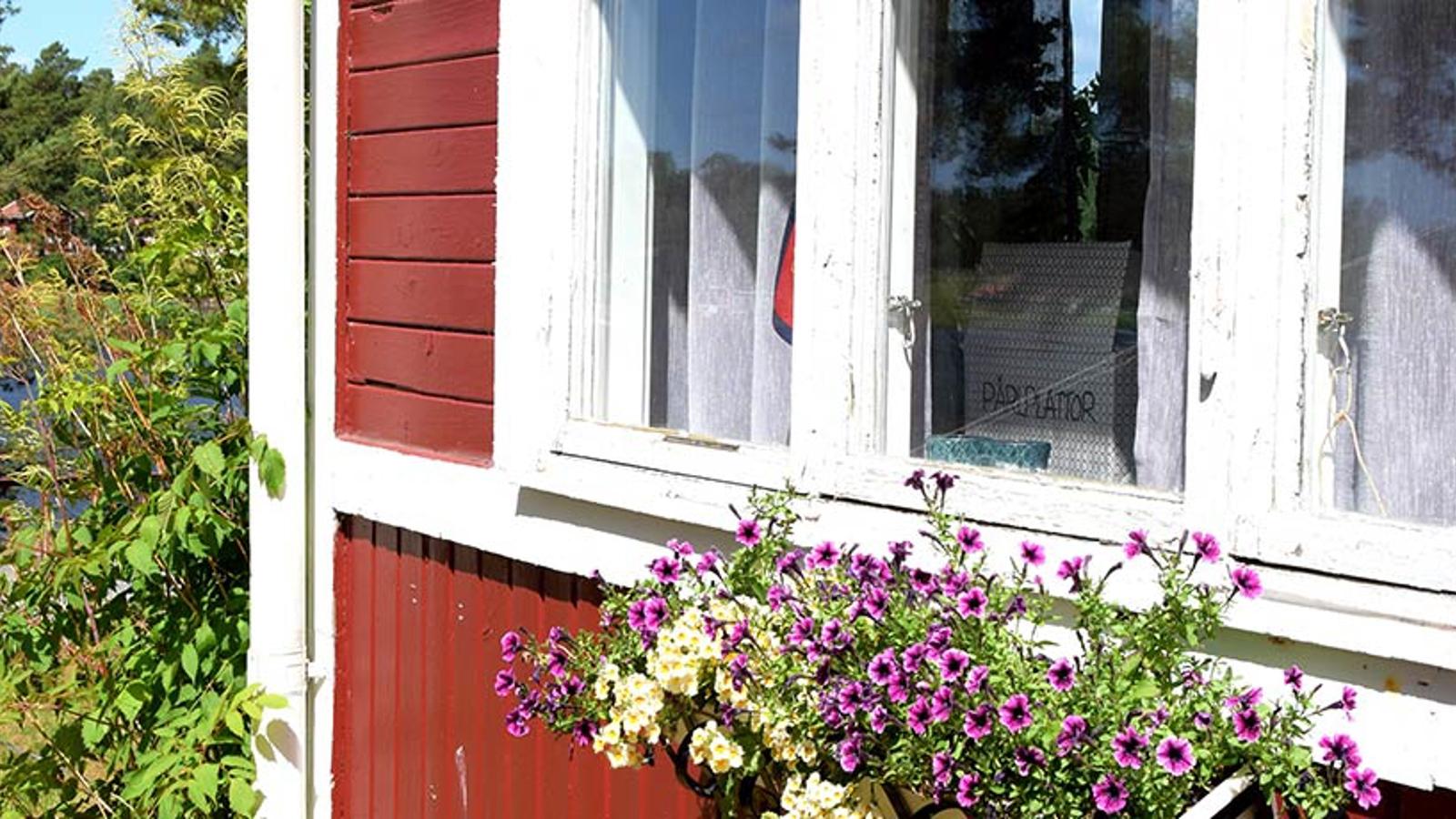 Hörnet av ett rött hus. På fasaden hänger det en kruka med lila blomväxter.