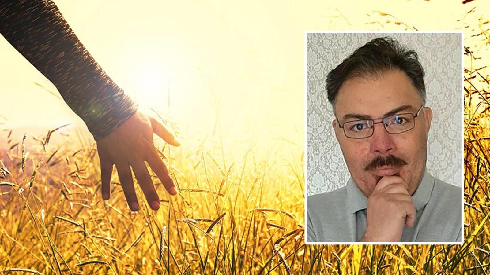Till vänster: En person som drar handen mot grässtrån på en äng. Till höger: Porträttbild av Alexis Magnusson.