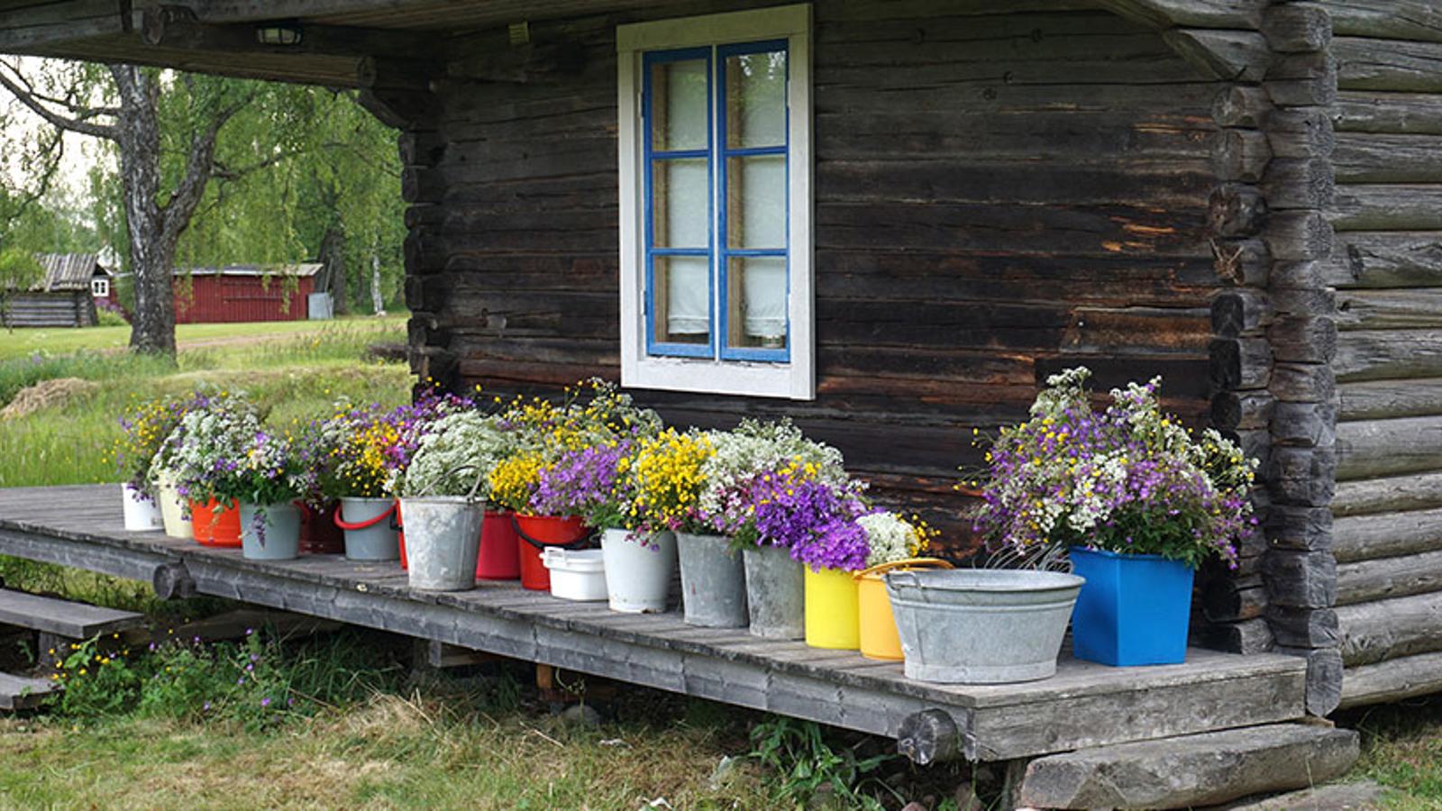 En veranda med blommor i krukor av olika färger.