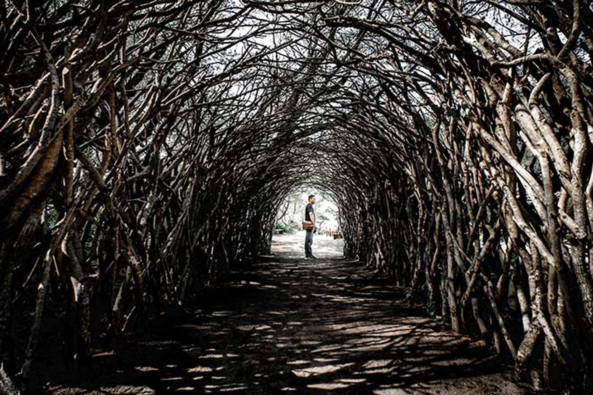 En tunnel av grenar. I slutet av tunneln står en person.