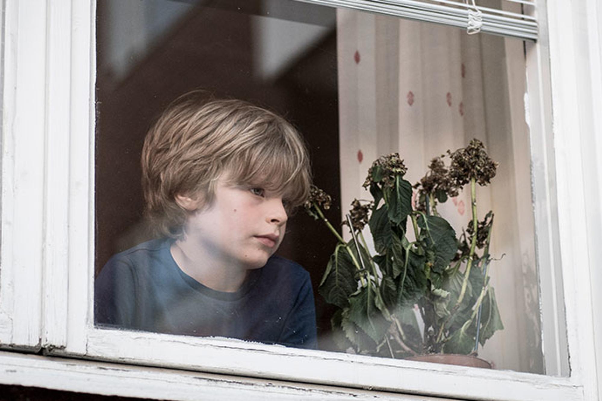 En ung pojke som tittar ut genom ett fönster. Bredvid honom står det en kruka med en vissen blomväxt.