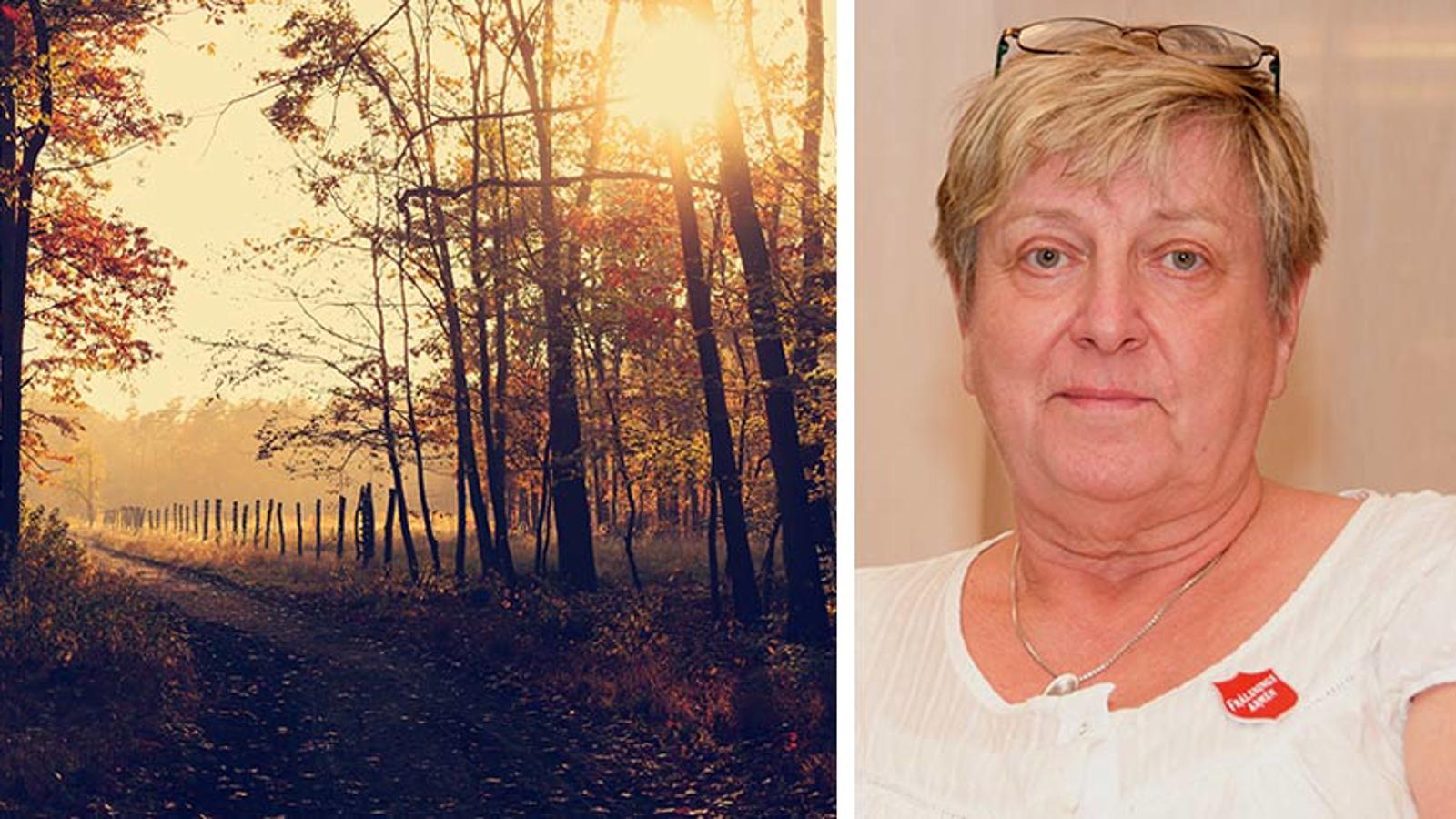 Till vänster: En stig i en höstskog med solstrålar som lyser igenom några träd. Till höger: Porträttbild av Christina Carlsson.