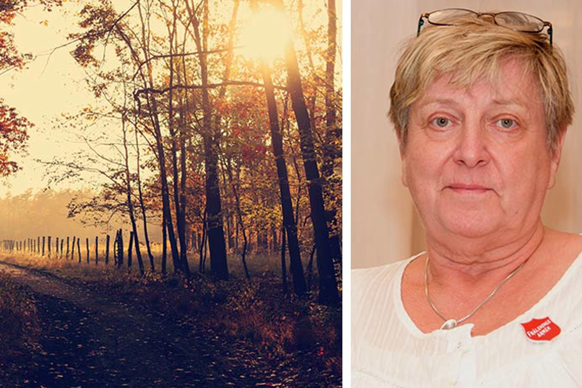 Till vänster: En stig i en höstskog med solstrålar som lyser igenom några träd. Till höger: Porträttbild av Christina Carlsson.