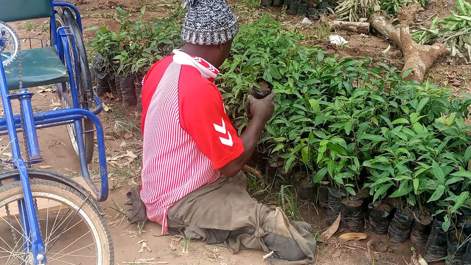 Richard Munyao, Kenya, sitter på marken och arbetar med sina trädplantor. Bredvid honom står hans rullstol.
